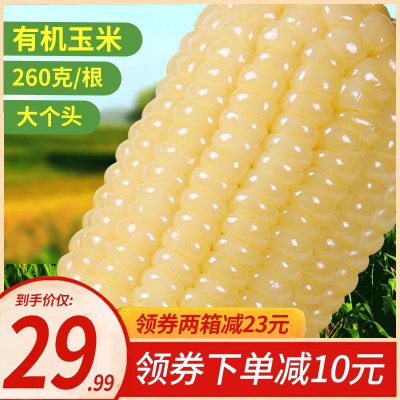 【有机】禾久甜糯玉米鲜食粘糯非东北玉米棒粒非转基因真空8根