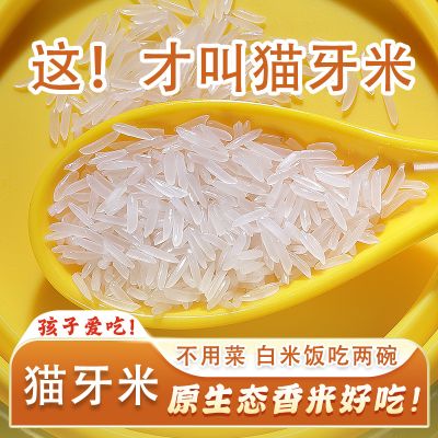猫牙米10斤泰国香米长粒香大米丝苗米煲仔饭专用米大米官方旗舰店
