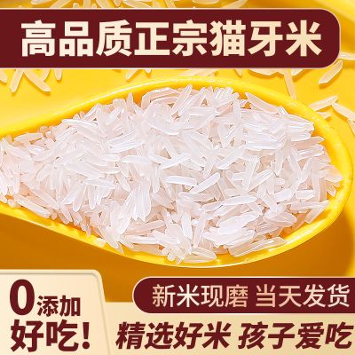 猫牙米长粒香米官方旗舰店2023年新米大米泰国香米丝苗油粘米10斤