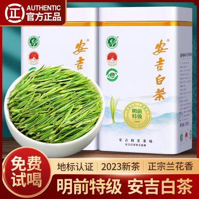 赛八仙安吉白茶2023年新茶特级AA明前绿茶珍稀白茶散装茶叶礼盒装