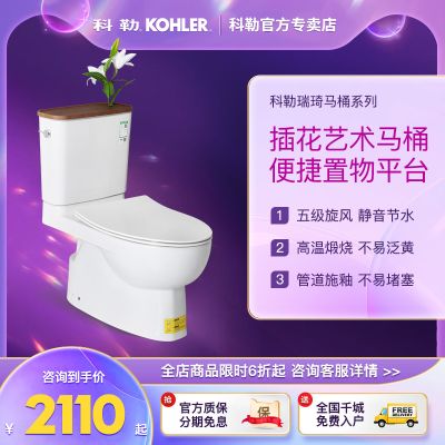 科勒马桶瑞琦家用抽水分体座厕五级旋风节水静音缓降坐便器18643T